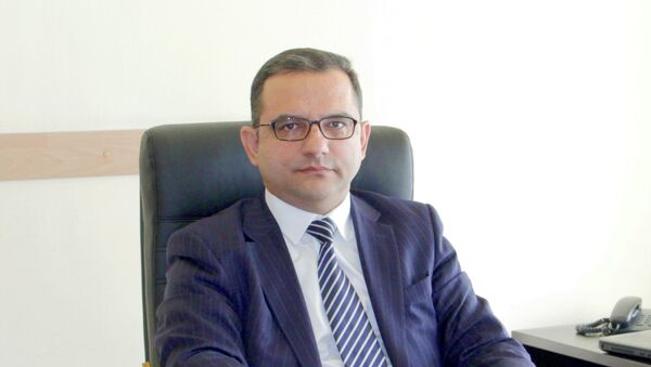 Заместитель министра экономического развития Армении Тигран Хачатряна - Sputnik Армения