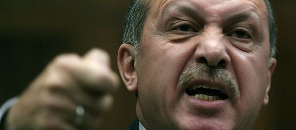 Президент Турции Реджеп Тайип Эрдоган - Sputnik Армения