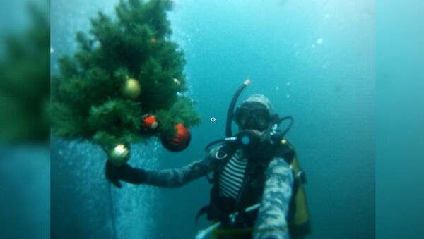 Дайверы погрузили новогоднюю елку под воду Голубого озера - Sputnik Արմենիա