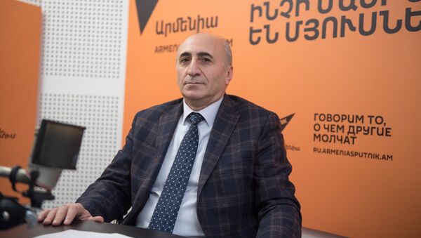 Руководитель Центра инновационных и институциональных исследований Армянского государственного экономического университета Атом Маргарян - Sputnik Արմենիա
