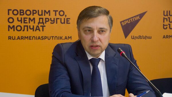 Итоговая пресс-конференция руководителя авиакомпании Армения - Sputnik Армения